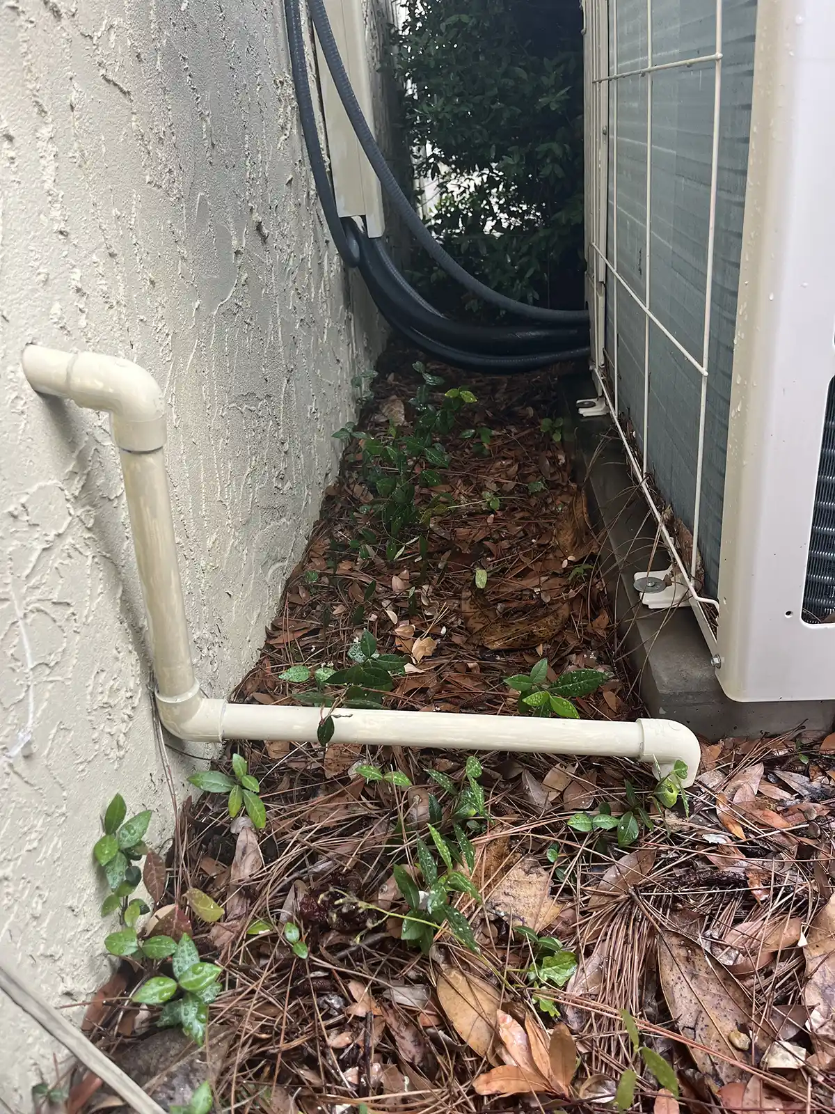 Clogged AC drain line in a Northeast Florida home