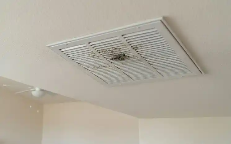 Hvac Maintenance For Mildew In Northeast Florida